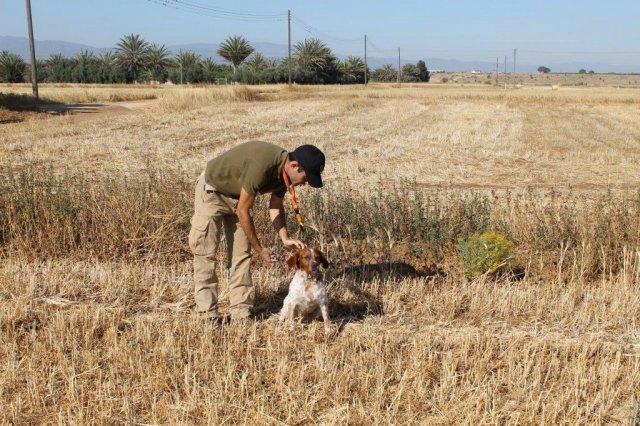 Αγωνες Α.Κ.Ι 11/6/2017